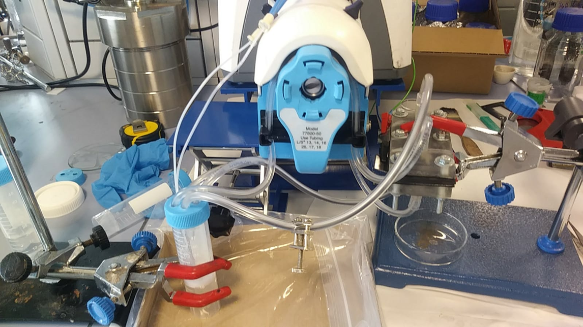 NITRO-D-CELL: vídeo introductorio