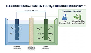 Nitro-D-Cell en Energías Renovables
